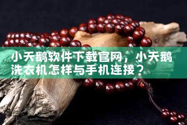 小天鹅软件下载官网