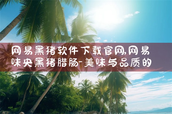 网易黑猪软件下载官网