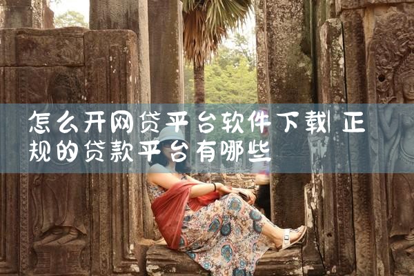 怎么开网贷平台软件下载