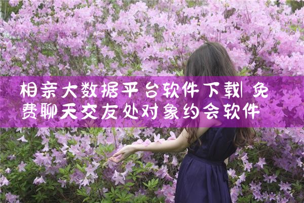 相亲大数据平台软件下载