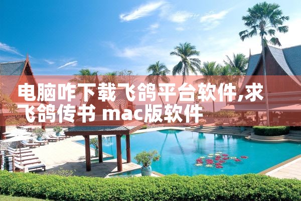 电脑咋下载飞鸽平台软件