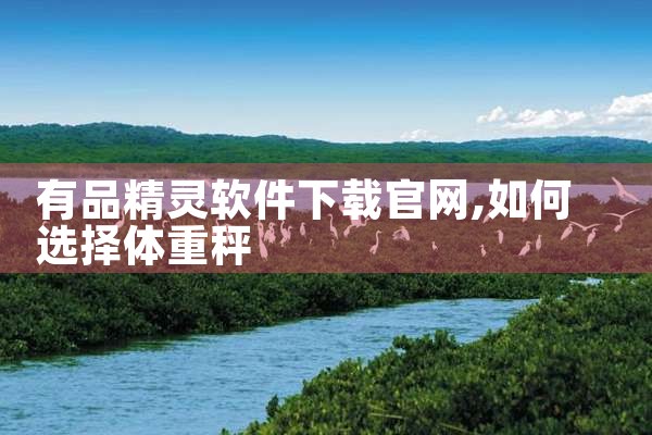 有品精灵软件下载官网