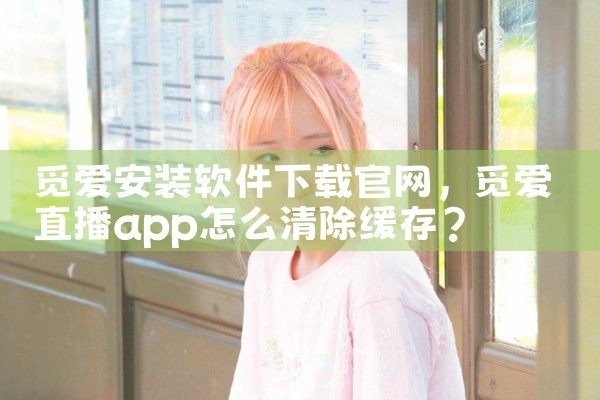 觅爱安装软件下载官网