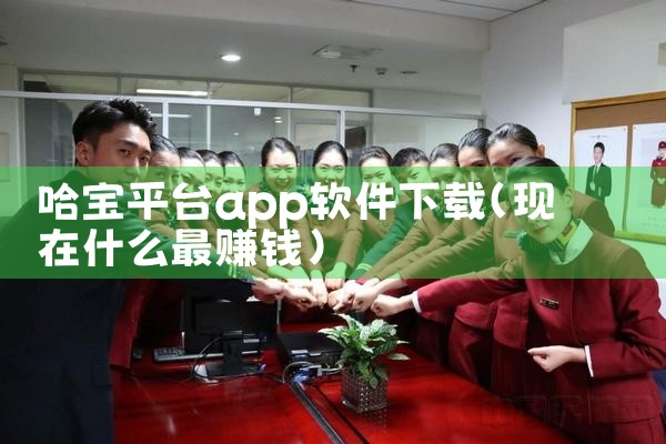 哈宝平台app软件下载