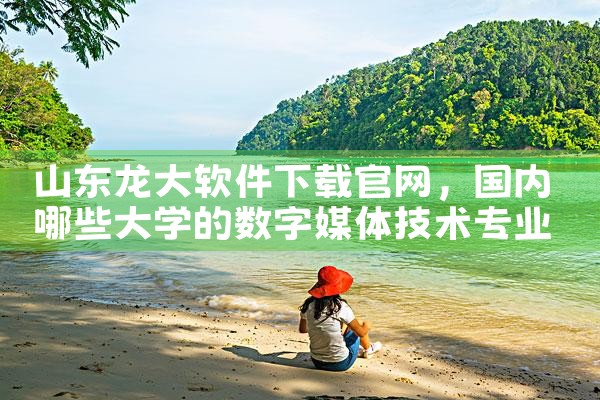 山东龙大软件下载官网
