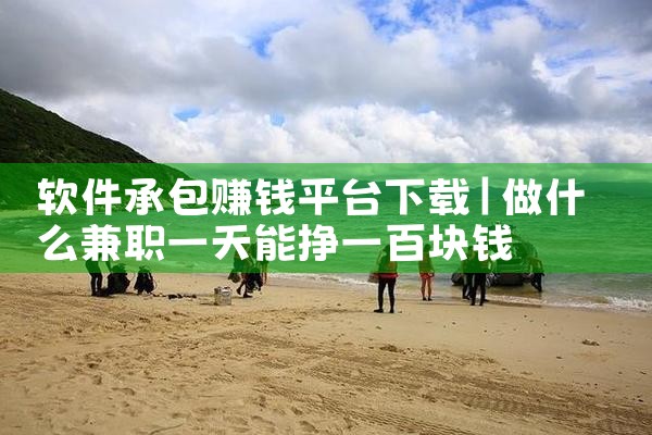 软件承包赚钱平台下载
