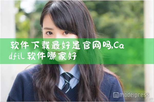 软件下载最好是官网吗