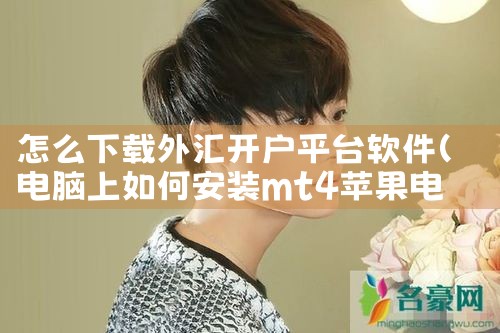 怎么下载外汇开户平台软件