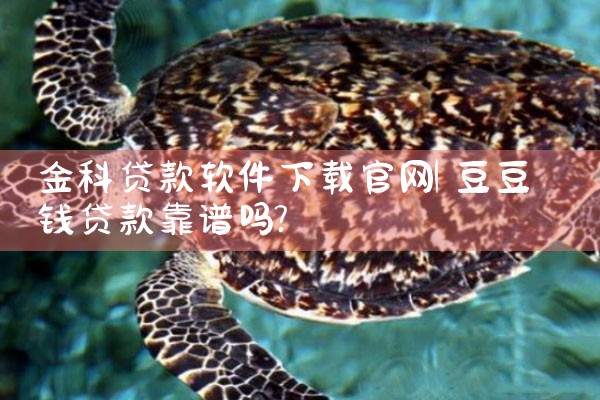 金科贷款软件下载官网