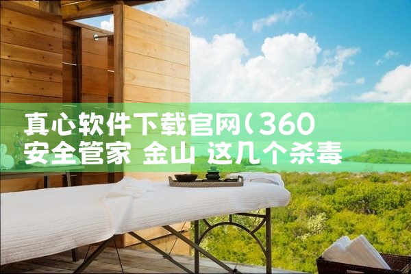 真心软件下载官网