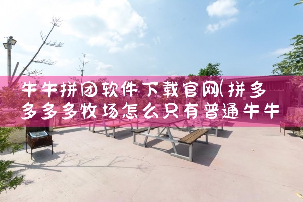 牛牛拼团软件下载官网