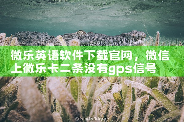 微乐英语软件下载官网