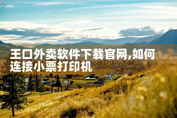 王口外卖软件下载官网