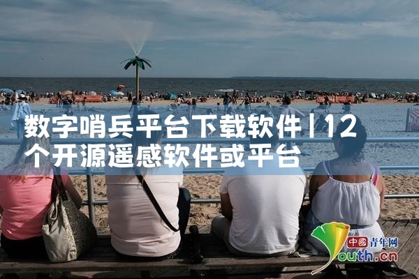 数字哨兵平台下载软件