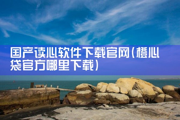 国产读心软件下载官网